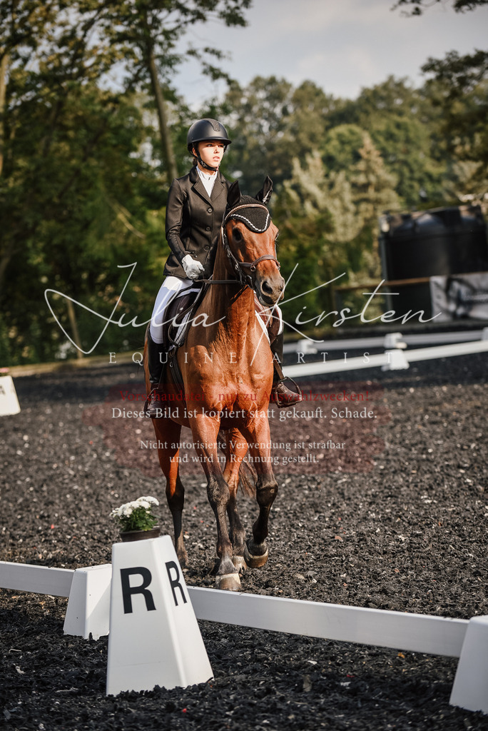 DSC_3498 | Pferde- und Turnierfotografie in Westsachsen. Pferdeportraits, Auftragszeichnungen und intuitive Kunst.