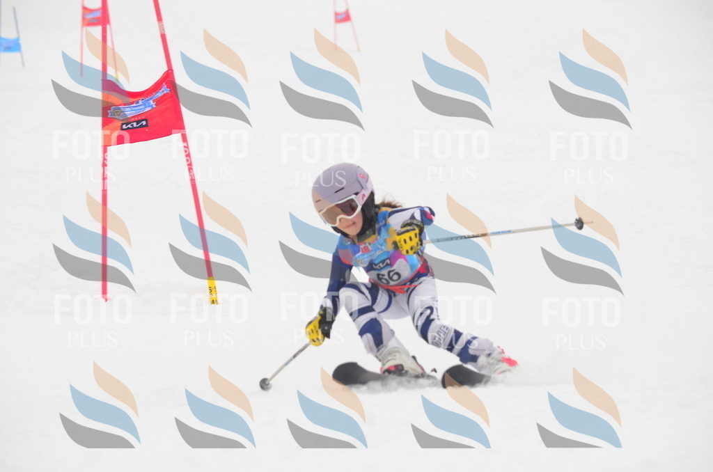 C1124 | holidayphoto