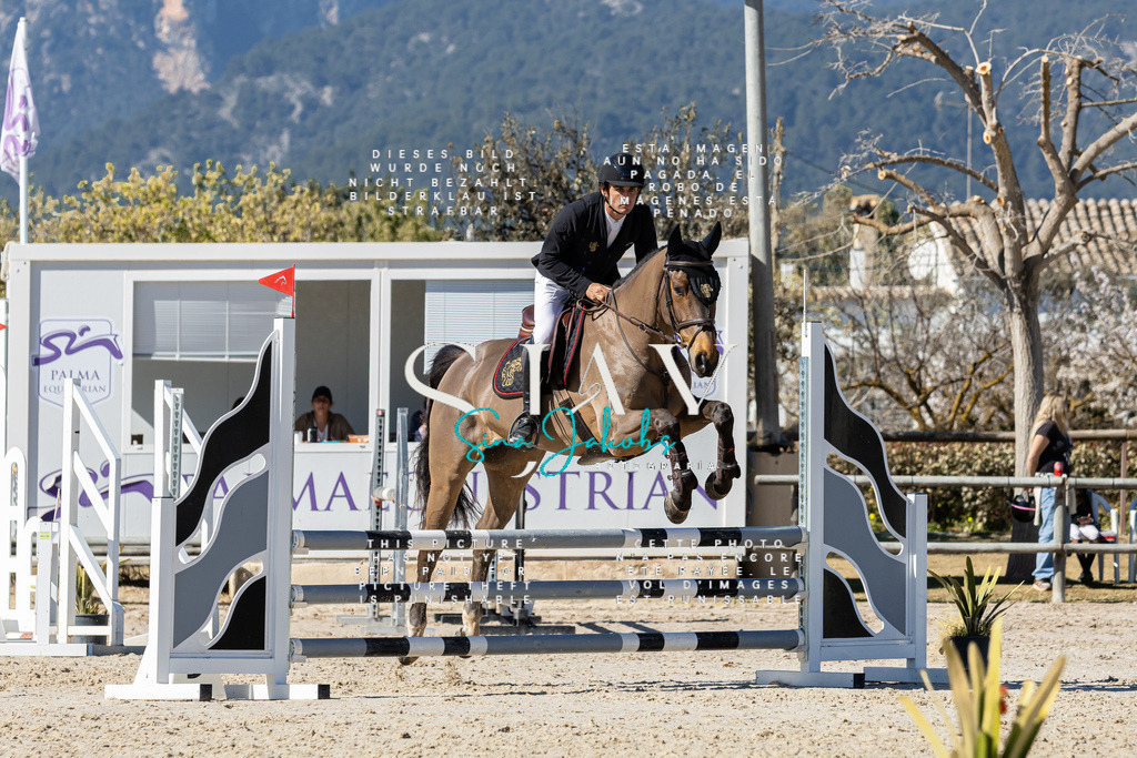 IMG_9589 | s-jay-photography - Realisiert mit Pictrs.com