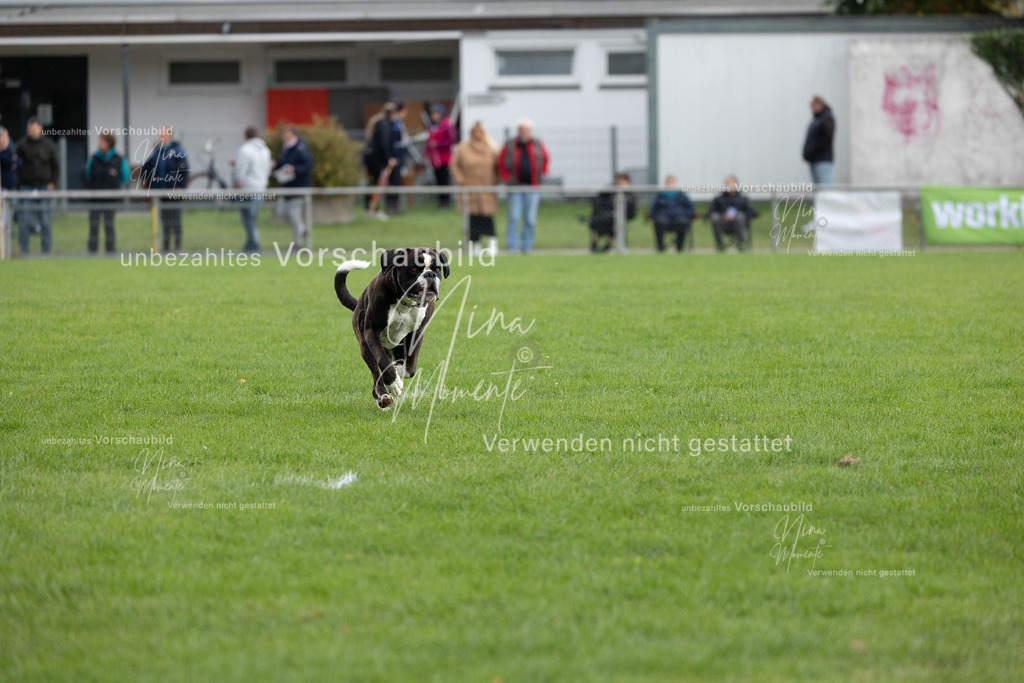 _16A7095 | Einzigartige Fotos von Hunden & Menschen –Actionfotos, Portraits, Vereinsaufnahmen & Paarshootings – authentisch, lebendig & mit Herz.