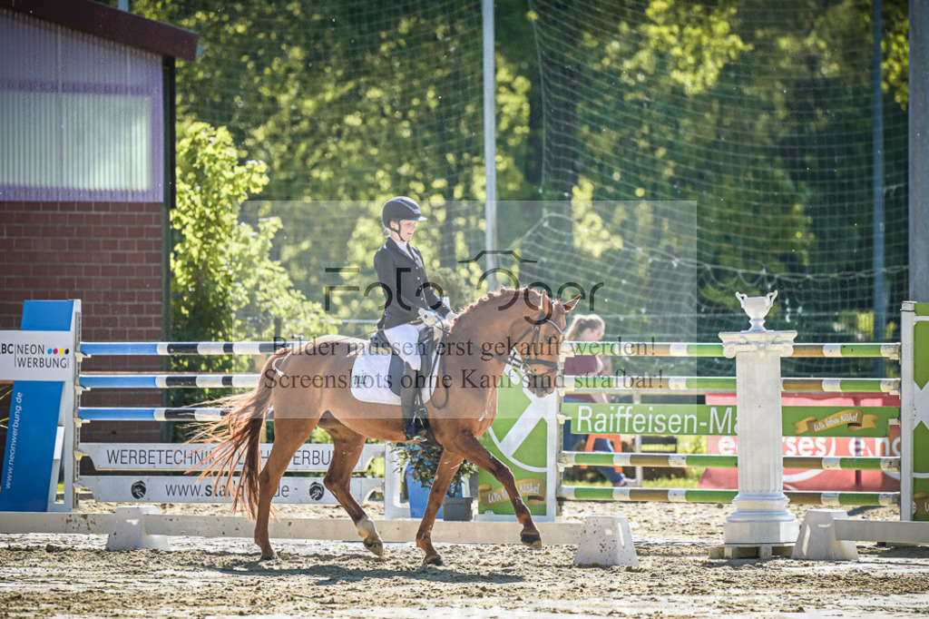 DOS_2711 | Entdecke hochwertige Reitturnierfotos von Foto Oger. Professionell, emotional und authentisch – jetzt Lieblingsmomente im Shop bestellen.Deutschlandweite Turnierfotografie. - Realisiert mit Pictrs.com