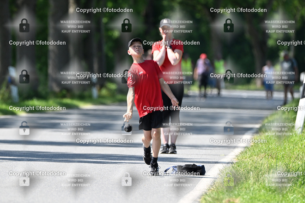 DSC_0292 | Jarno Wittje / Bredhorn / mJu E Holz