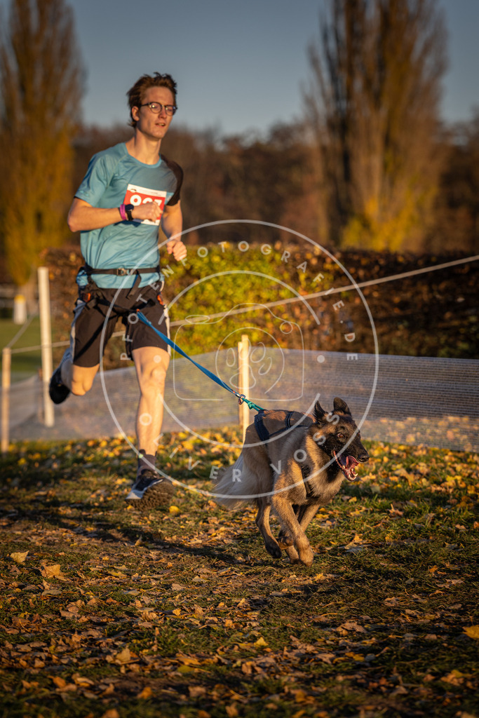 CaniXpix_DV3A5079 | Hundefotografie, Tierfotograf, Pfotenfotografie, Fotoshooting Hund, Hunde Portrait, Hundesport, Hundeportraits, Heideshooting, Hunde, Sportfotograf, Hundefotograf, Turnierhundsport, THS,  - Realisiert mit Pictrs.com