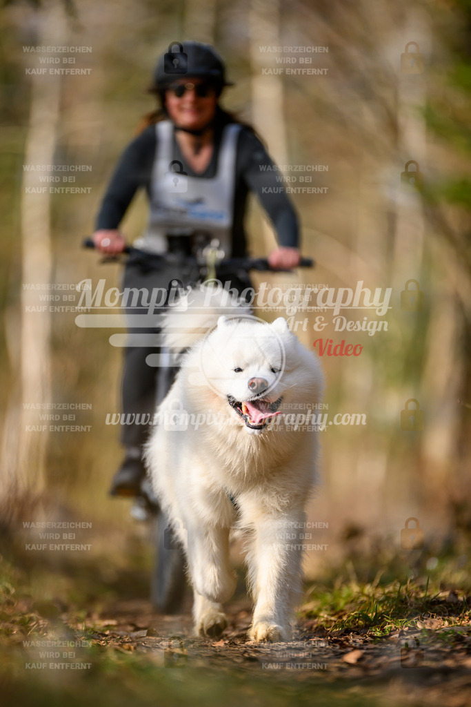 MompixPhotography_6ReiatRennen2026_SO_Bike-101 | PayLife