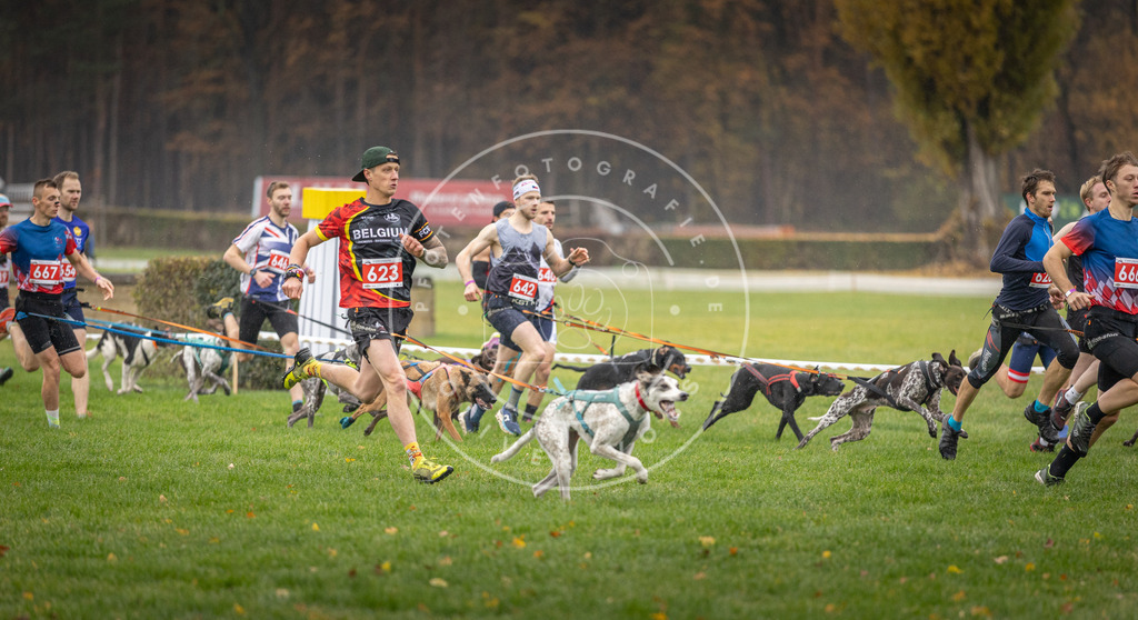 CaniXpix_DV3A9473 | Hundefotografie, Tierfotograf, Pfotenfotografie, Fotoshooting Hund, Hunde Portrait, Hundesport, Hundeportraits, Heideshooting, Hunde, Sportfotograf, Hundefotograf, Turnierhundsport, THS,  - Realisiert mit Pictrs.com