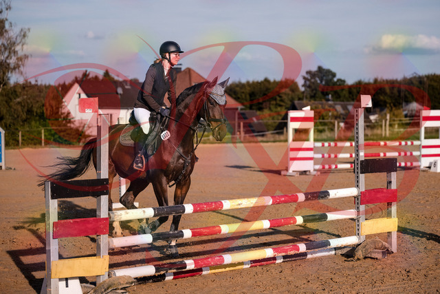 2026_10_03_Siefer-Hof_171843_Z81_16398579 | Professionelle Reitsport-, Turnier- und Eventfotografie von Robert Broda. Galerien mit ausgewählten und bearbeiteten Bildern direkt online ansehen und bestellen.