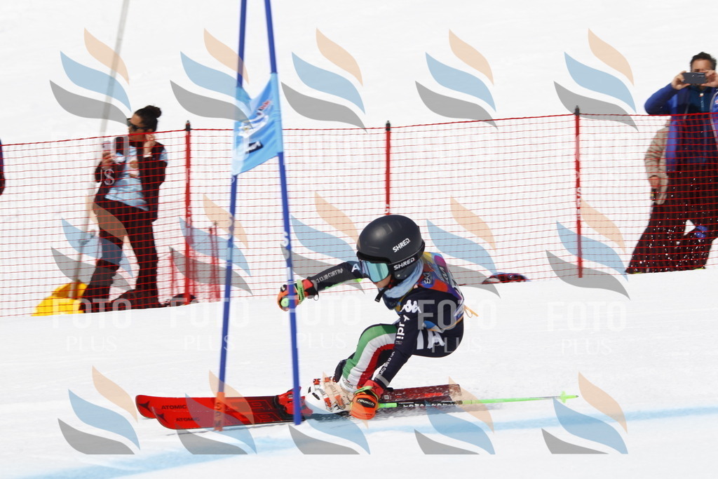 _U3G5456 | holidayphoto