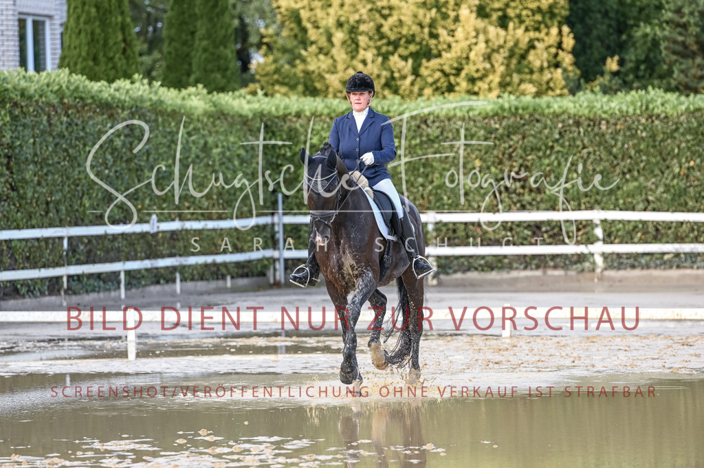 Schugtsche-Aluta25-54.Dressurprf.L1Trense-316 | Schugtsche Fotografie - Realisiert mit Pictrs.com
