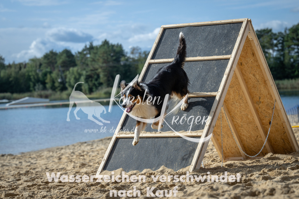 1431_ZZ91471 | kk-dogfotos