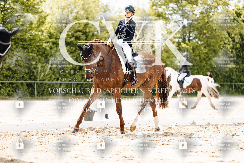 CK902128 | Turnierfotografie Pferdefotografie Trier Rheinland-Pfalz Pferdesport Reitsport Tierfotografie Sportfotografie Pferdevideo Pferdevideografie Equestrianvideography equestrianphotography  - Realisiert mit Pictrs.com