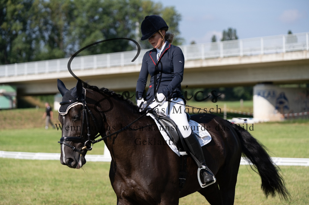 A7V09508 | Pferdefotograf