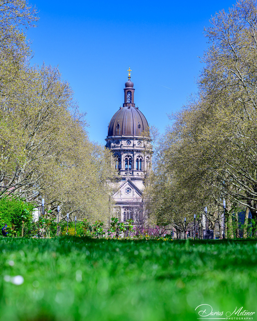 DSC_8319 3 | Fotografien, Fotos und Bilder aus Mainz, Frankfurt, Wiesbaden und anderen Orten auf der Welt - Fotografiert von Darius Metzner