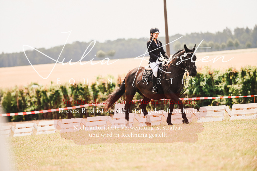 DSC_6264 | Pferde- und Turnierfotografie in Westsachsen. Pferdeportraits, Auftragszeichnungen und intuitive Kunst.