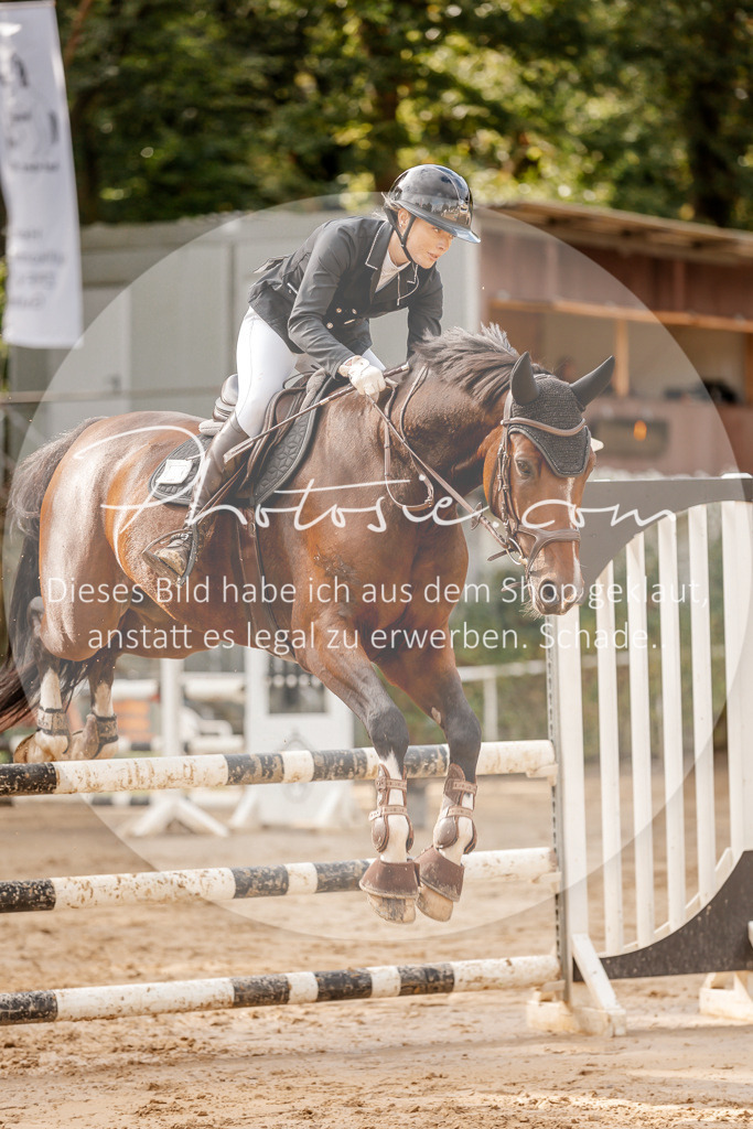 3I6A6759 | Stimmungsvolle Portraits und Reitsportfotografie im Ruhrgebiet und im Münsterland.

Pferdefotografie, Hundefotografie, Tierfotografie, Reportagen, Portraits von Tier und Mensch, Turnierfotografie in Bochum, Recklinghausen, Marl, Haltern am See, Dülmen.. - Realisiert mit Pictrs.com