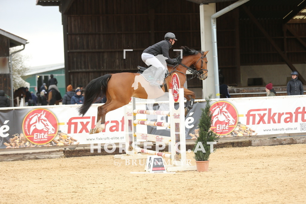 DL2Q5866 | Willkommen bei Brunnmayr - Design & Fotografie – Ihrem Spezialisten für Reitturniere und Pferdeveranstaltungen in Oberösterreich, Salzburg und Bayern! Seit über 17 Jahren sind wir leidenschaftlich dabei.