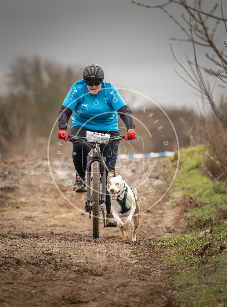 DV3A0675 | Hundefotografie, Tierfotograf, Pfotenfotografie, Fotoshooting Hund, Hunde Portrait, Hundesport, Hundeportraits, Heideshooting, Hunde, Sportfotograf, Hundefotograf, Turnierhundsport, THS,  - Realisiert mit Pictrs.com