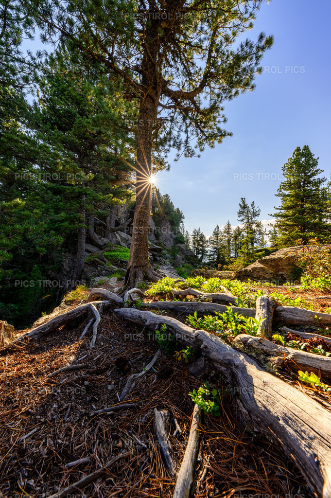 DSC_1269-HDR-Bearbeitet | Tirolpics