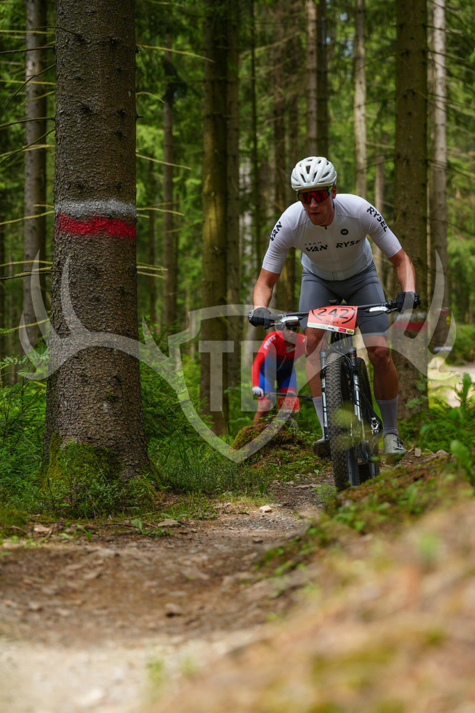 FC603736 | Fotogalerie der Treibjagd im Dunkelwald - Dein MTB Etappenrennen im Erzgebirge - Realisiert mit Pictrs.com