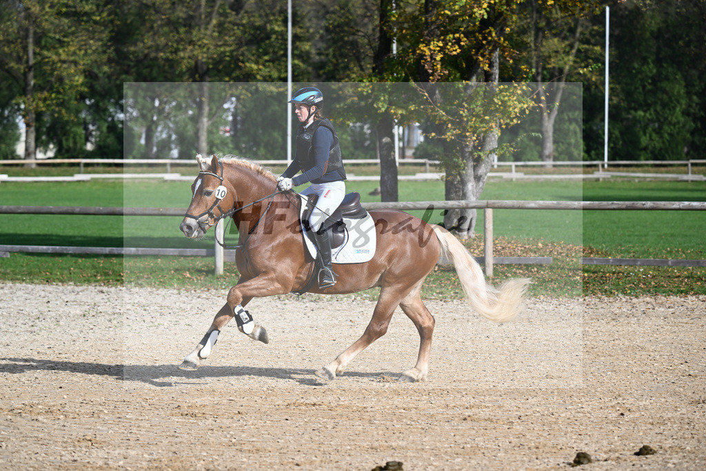 Kat-Nr. 10 Napoleon Bonaparte_Blum_44240664 | hf-fotografie - Realisiert mit Pictrs.com