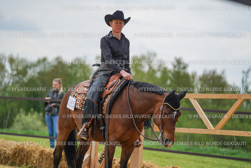 DSC07663 | Pferdegrafie