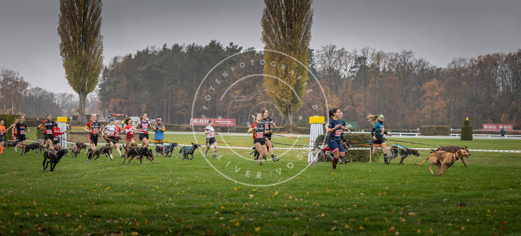 CaniXpix_DV3A8779 | Hundefotografie, Tierfotograf, Pfotenfotografie, Fotoshooting Hund, Hunde Portrait, Hundesport, Hundeportraits, Heideshooting, Hunde, Sportfotograf, Hundefotograf, Turnierhundsport, THS,  - Realisiert mit Pictrs.com