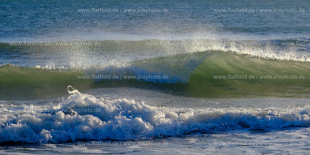 Wellen II | Am Strand von Saintes Maries de la Mer