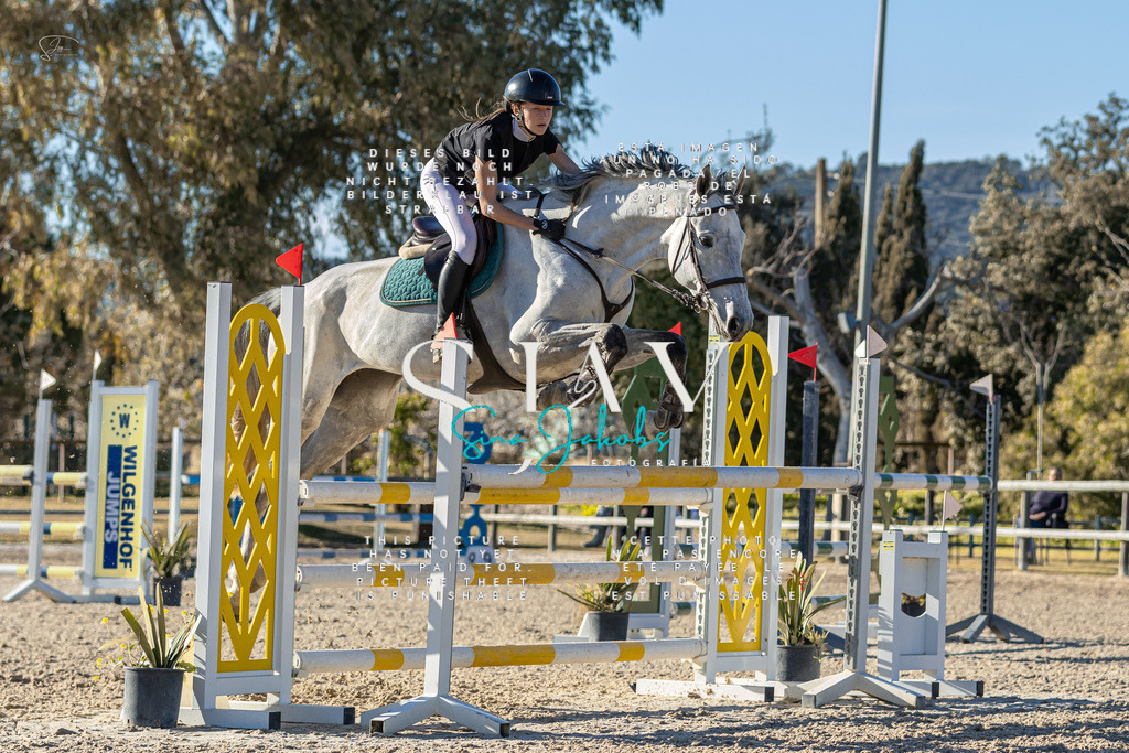 IMG_2159 | s-jay-photography - Realisiert mit Pictrs.com