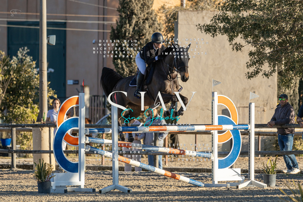 IMG_2401 | s-jay-photography - Realisiert mit Pictrs.com