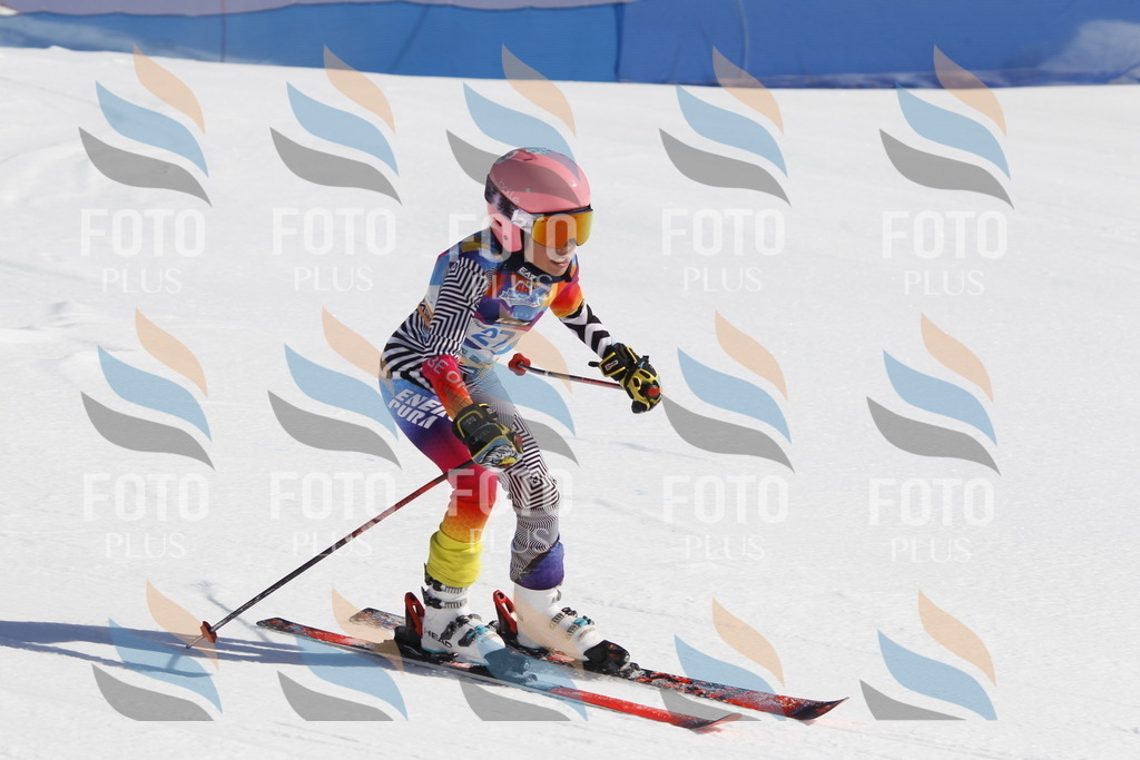 _U3G8990 | holidayphoto