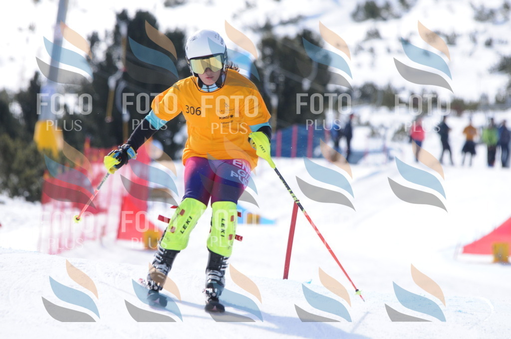 C9154 | holidayphoto