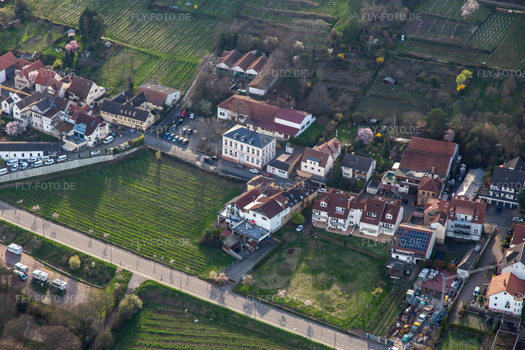 Luftbild: zwischen Wein- und Dammstr im Ortsteil Hambach an der Weinstraße in Neustadt im Bundesland Rheinland-Pfalz in Deutschland. Foto: IMG_139987.jpg vom 14.03.2024 durch Werner Riehm/FLY-FOTO.de