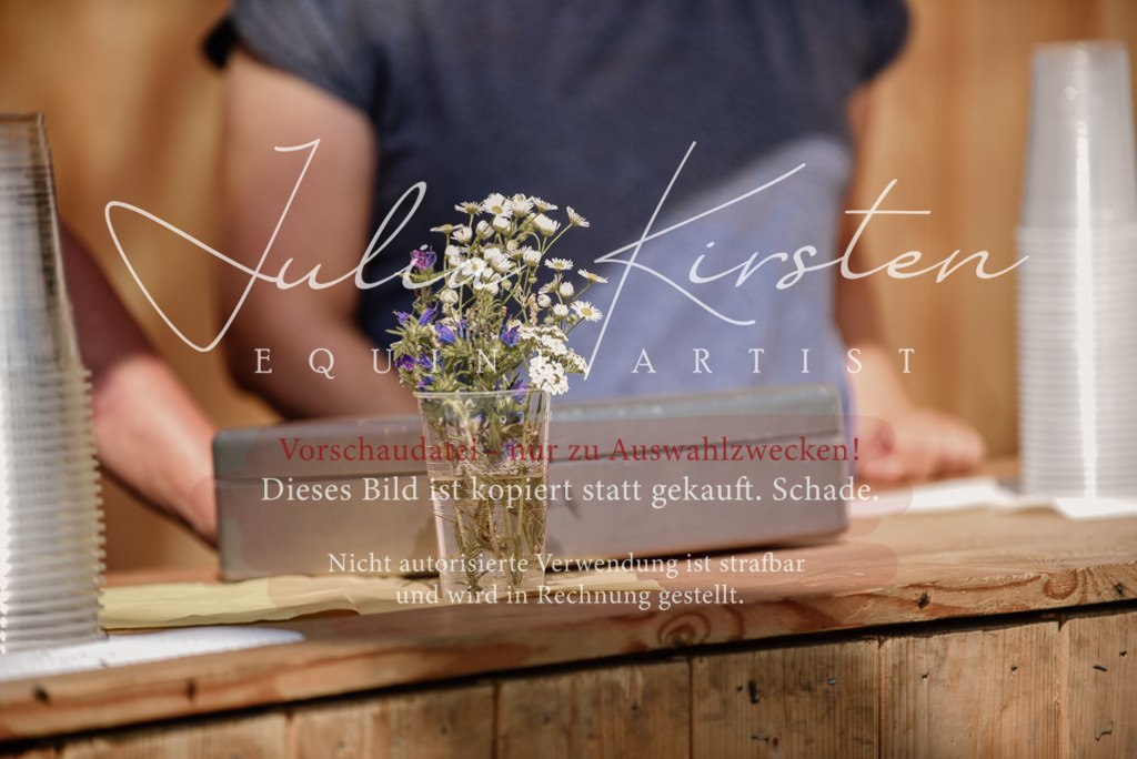 DSC_8765 | Pferde- und Turnierfotografie in Westsachsen. Pferdeportraits, Auftragszeichnungen und intuitive Kunst.