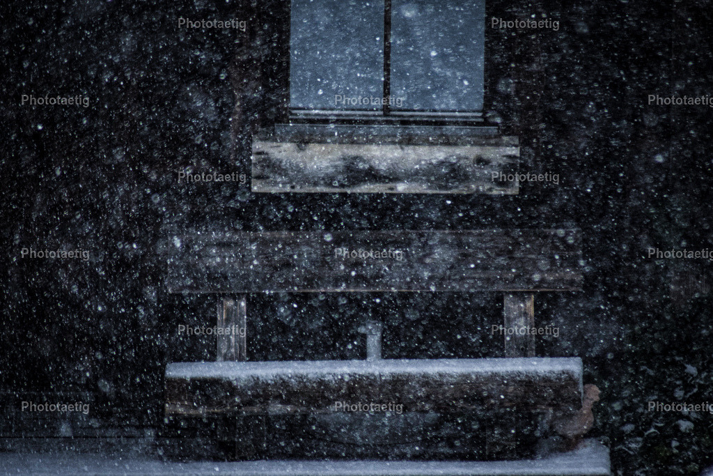 IMG_4864 | phototaetig