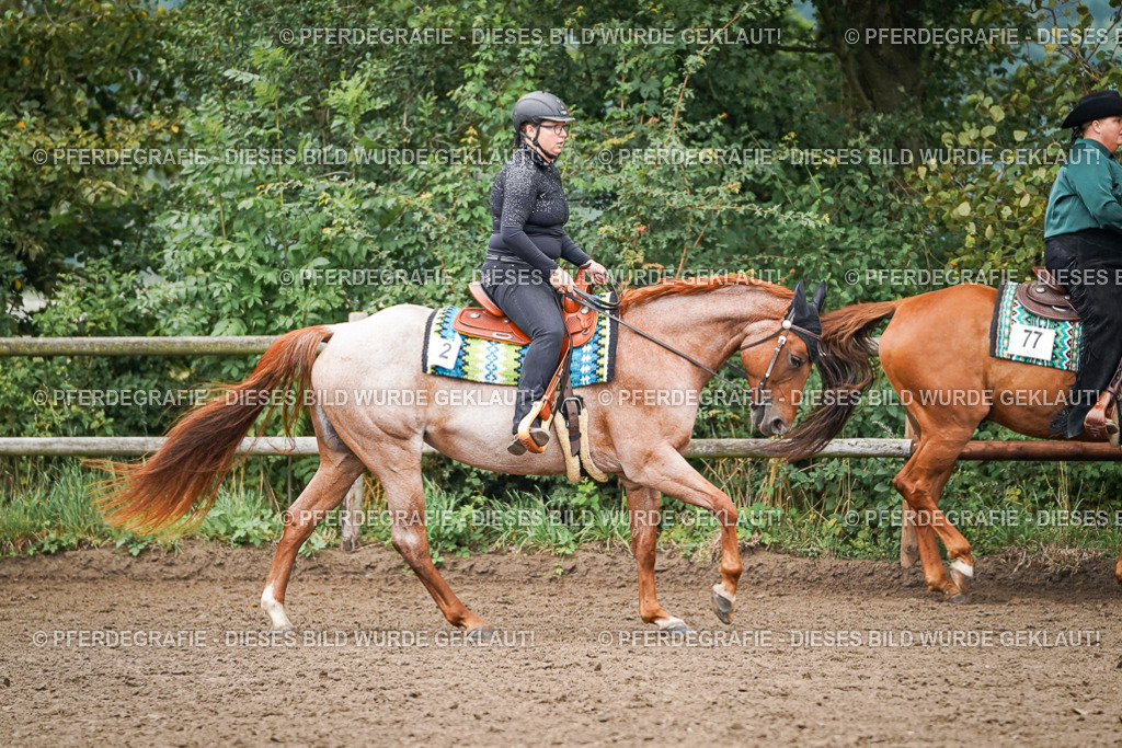 DSC01784 | Pferdegrafie