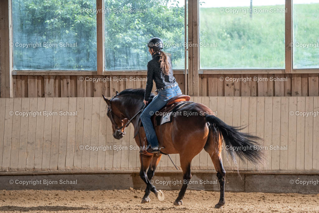 SBS03619 | BS-foto