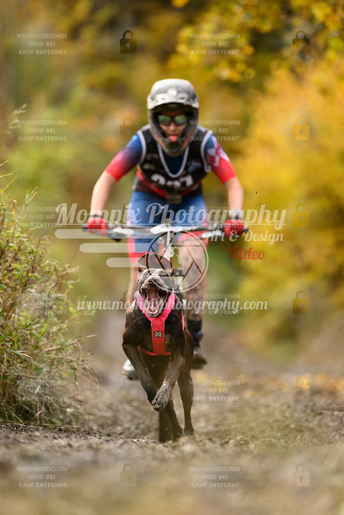 MompixPhotography_ICF_WC_2024_SA_Bike_-382 | PayLife