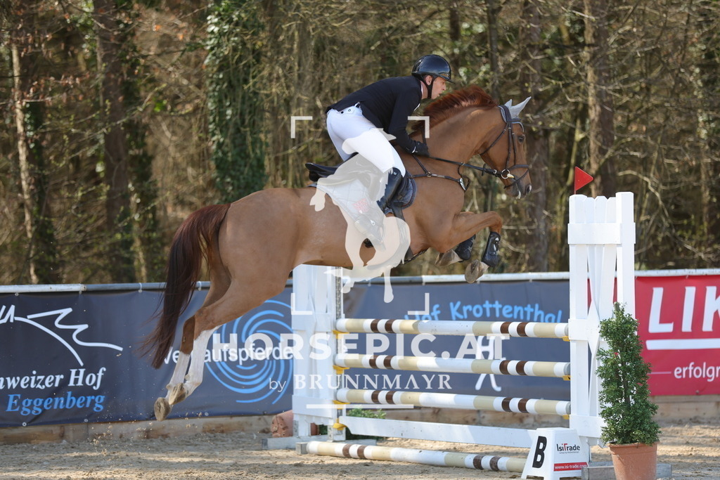 0P6A7618 | Willkommen bei Brunnmayr - Design & Fotografie – Ihrem Spezialisten für Reitturniere und Pferdeveranstaltungen in Oberösterreich, Salzburg und Bayern! Seit über 17 Jahren sind wir leidenschaftlich dabei.
