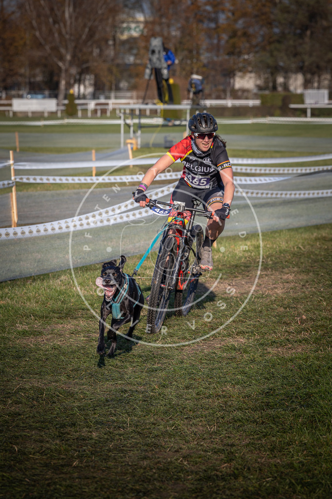 CaniXpix_0L8A4524 | Hundefotografie, Tierfotograf, Pfotenfotografie, Fotoshooting Hund, Hunde Portrait, Hundesport, Hundeportraits, Heideshooting, Hunde, Sportfotograf, Hundefotograf, Turnierhundsport, THS,  - Realisiert mit Pictrs.com