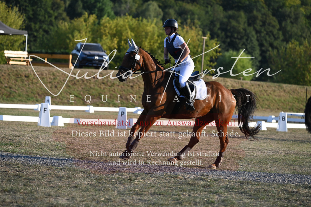 DSC_9231 | Pferde- und Turnierfotografie in Westsachsen. Pferdeportraits, Auftragszeichnungen und intuitive Kunst.