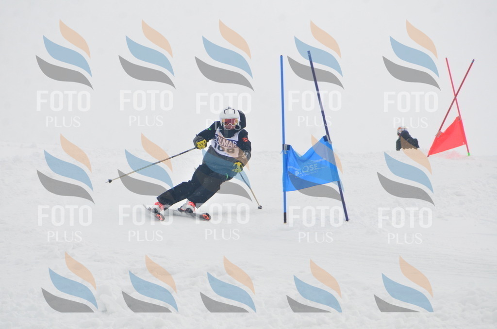 A5907 | holidayphoto