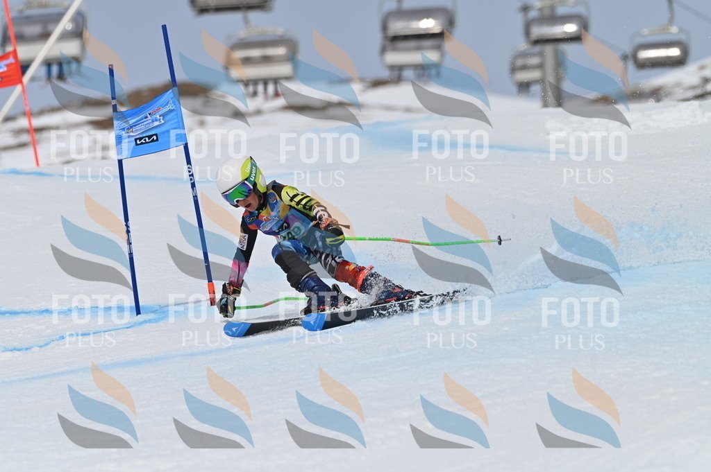 BGV_4937 | holidayphoto