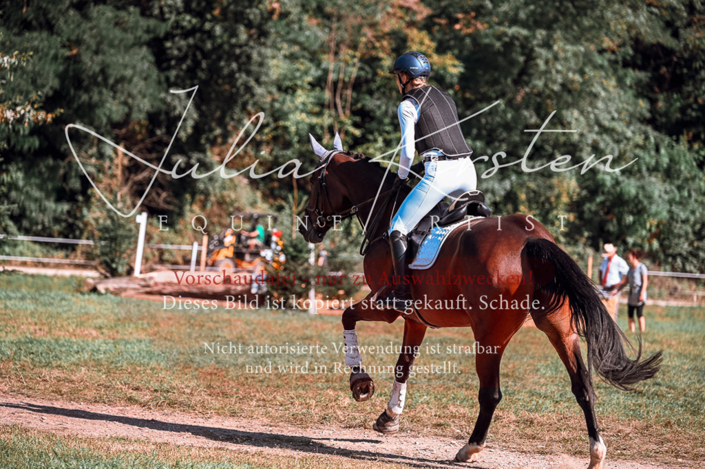 DSC_1087 | Pferde- und Turnierfotografie in Westsachsen. Pferdeportraits, Auftragszeichnungen und intuitive Kunst.