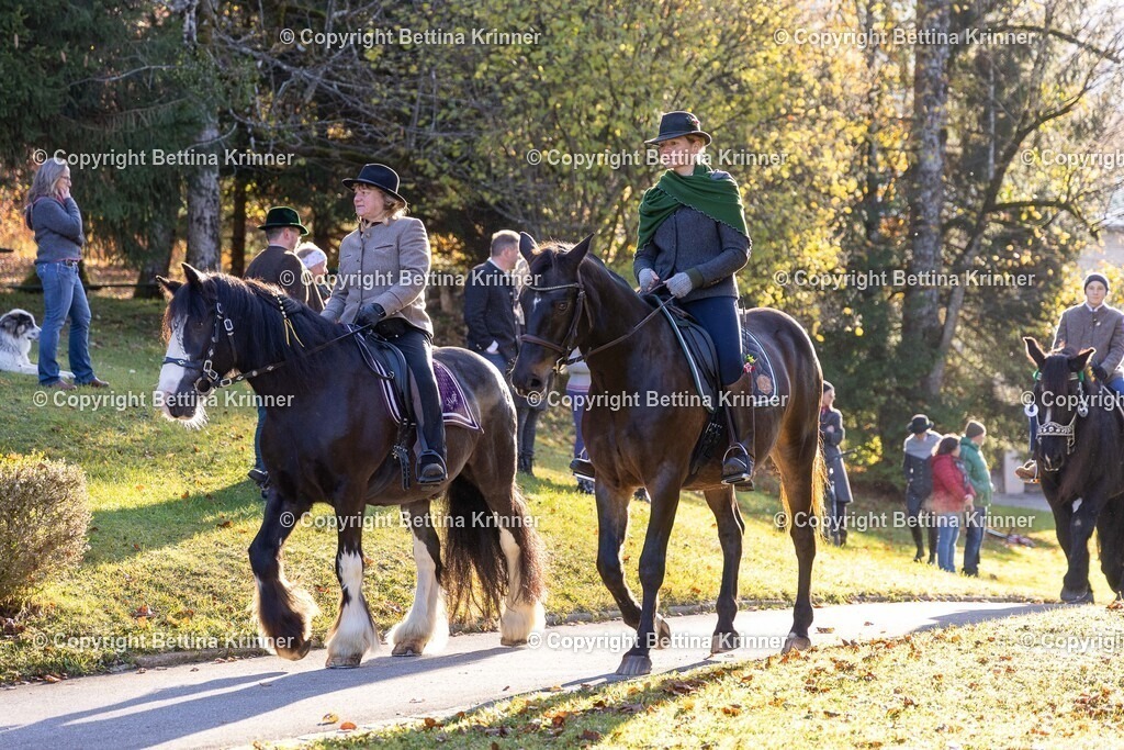 LL24-206 | foto-bettina-krinner - Realisiert mit Pictrs.com