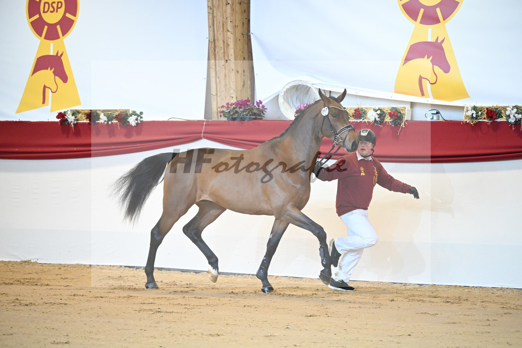Kat-Nr. 17 Cullinan du Borget_Keitel u Tischer_1231167 | hf-fotografie - Realisiert mit Pictrs.com