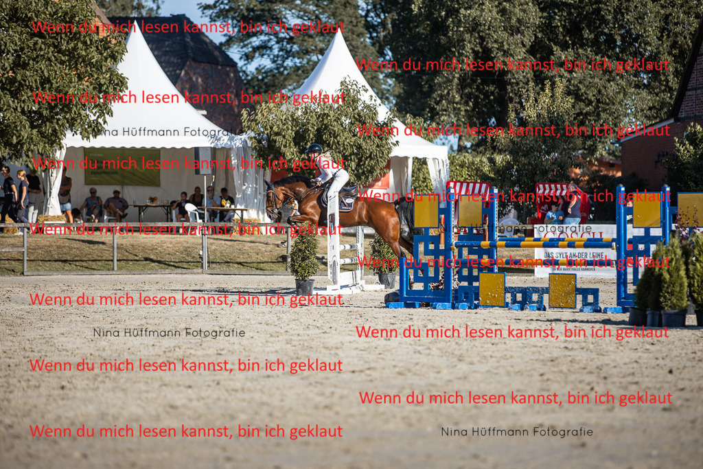 BK1A7682 | Turnierbilder Turnierfotos Nina Hüffmann Turnierfotografie Pferdefotografie Tierzeichnung Haustierzeichnung Pferdezeichnung Hundezeichnung Videograf  - Realisiert mit Pictrs.com