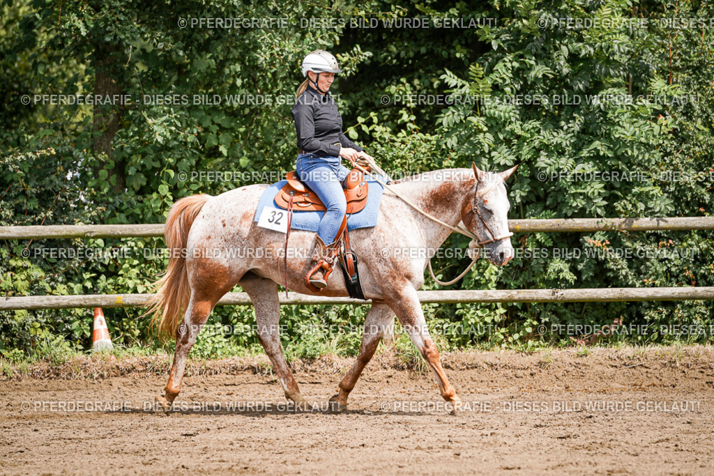 DSC07294 | Pferdegrafie