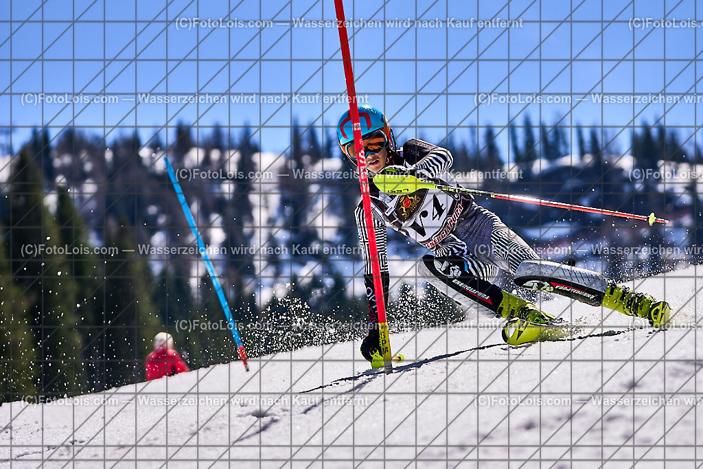 ALP2425_Reiteralm_MASTERS-LM_SL_Vorlaeufer | (C)FotoLois.com, Alois Spandl. Steirische MASTERS-Landesmeisterschaften Ski alpin SLALOM mit Wien und Salzburg, Reiteralm, Sa 13. April 2024.