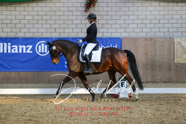 IMG_2573 | Turnierfotos kaufen im Webshop von Daniel Kuhl Photography – entdecke professionelle Reitsportfotos aus Turnieren & Events. Hochwertige Turnierbilder online bestellen & sichern. Jetzt Fotos von Reitsportturnieren kaufen!