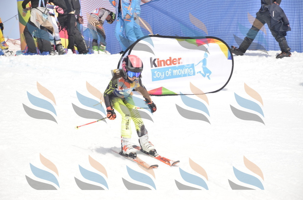 _ELE8937 | holidayphoto