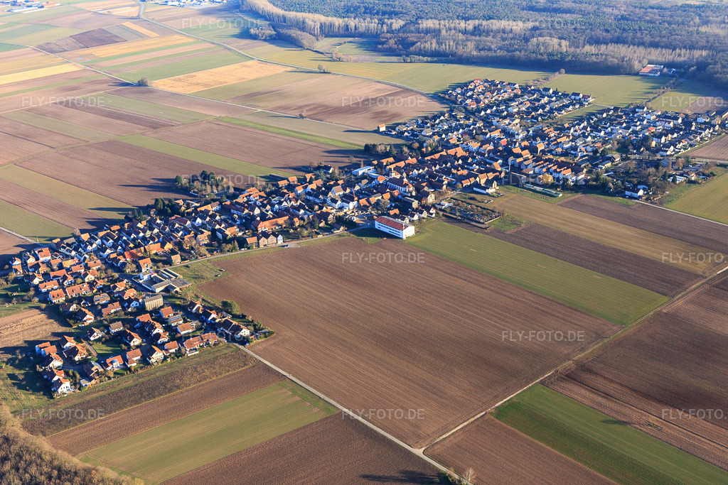 Luftbild: Ortsansicht von Westen im Ortsteil Hayna in Herxheim im Bundesland Rheinland-Pfalz in Deutschland. Foto: IMG_125635.jpg vom 21.02.2021 durch Werner Riehm/FLY-FOTO.de